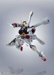 画像3: ROBOT魂   クロスボーン・ガンダム X1/X1改 EVOLUTION-SPEC (3)